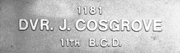Image of plaque on tree S066 for William Cosgrove
