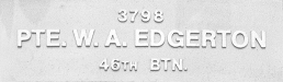 Image of plaque on tree S100 for William Edgerton