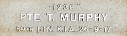 Image of plaque on tree S176 for Thomas Murphy