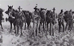 Members of the 1st Australian Light Horse Regiment - including William - formed up on the beach with their horses.
